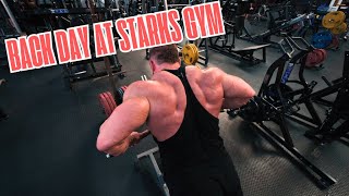 Going for Dorian Yates Back Density  Back Day at Stark Gym in Sweden [upl. by Vitia796]