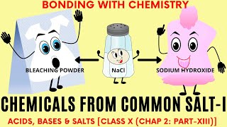 Chemical Obtained from Common SaltI Class X Chap 2 Part XIII [upl. by Amaral138]