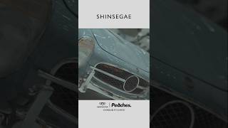 INSIDE SHINSEGAE  300 [upl. by Elene]