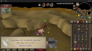 Slice You Gets 99 Slayer [upl. by Ahsiele180]