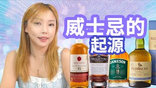 一家蒸馏厂撑起整个爱尔兰威士忌，同根生的它们，味道怎么样？Redbreast 15 Jameson 18 Midleton Very rare Red Spot 15 盲评测评！ [upl. by Eidnar]