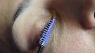 Elleebana Lash Lift amp Tint at Grace Medical Aesthetics [upl. by Aiciled62]