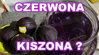 CZerwona Kapusta Kiszona Czyli Nie Masz Pomysłu Zrób Kiszonkę A Co Z Tego Wyszło [upl. by Quincey]