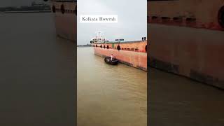 Welcome to kolkata shorst nature video hugli river🏞️ [upl. by Kylie]