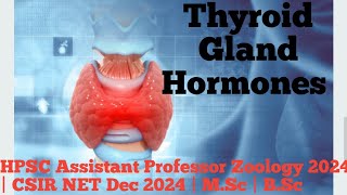 Thyroid gland hormones  endocrine system  endocrine physiology  thyroxin  calcitonin [upl. by Lubin]