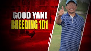 S1 EP1 Breeding 101 feat Doc Ronnie Magbalon [upl. by Weinstein]