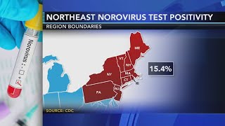 Contagious stomach bug circulating in the Northeast  Know the symptoms [upl. by Cyndy8]