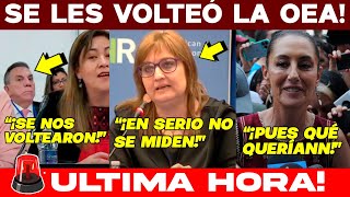 🚨MARTES NEGRO ACABA DE PASAR EN OEA SE LES VOLTEAN A JUECES FRACASO ÉPICO DE LAYNEZ SE LES DIJO [upl. by Immat266]