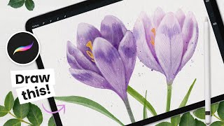 How To Draw Watercolor Crocus Flower • Procreate Tutorial [upl. by Aldora]