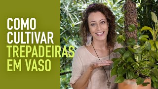 Como FAZER TUTOR para PLANTA TREPADEIRA em VASO [upl. by Elok]