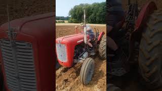 Massey Ferguson 35 at BDVPS Rousham Ploughing Match Sunday 18th August 2024 [upl. by Llerdna]