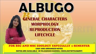 ALBUGO MORPHOLOGY REPRODUCTION LIFECYCLE BSC MSC ZOOLOGY 1SEMESTER BIOLOGYWITHJAGRITI [upl. by Gibbs]