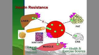 Is Exercise Really Medicine [upl. by Mohsen]