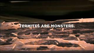 Terminix 2012  TVC Eggs [upl. by Martino]