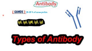 types of antibodies  types of antibodies in hindi  full expained part 2 [upl. by Curzon]