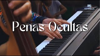 Penas Ocultas  Orquesta Los Padrinos En vivo [upl. by Masha]