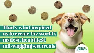 Honest To Goodness Plant Snacks For Dogs dogtreats plantbased dogfood [upl. by Alletsirhc693]