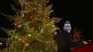 Roanoke County lights Christmas tree [upl. by Nylevol]