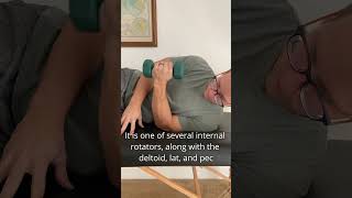 Subscapularis rotator cuff strengthening to improve and preserve shoulder health [upl. by Bobbie]