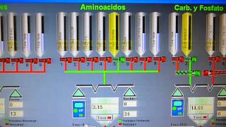 Dosificacion de Micro ingredientes en planta ABA [upl. by Bertrand]