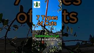 7 Types Of Cuts You Use These cuttingskills [upl. by Tirrell]