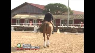 Jan Bemelmans Dressage Training on Acceptance Of The Aids [upl. by Ellehcil]