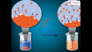 Class 11 Chemistry Solubility Equilibria of Sparingly Soluble Salts in Chapter 7 Equilibrium [upl. by Aruasor]