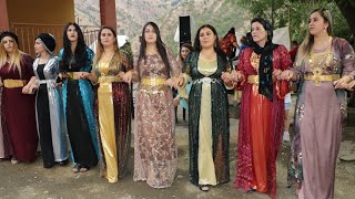 hakkari düğünleri kurdish wedding segavi düğünü koma zawite [upl. by Saunders]