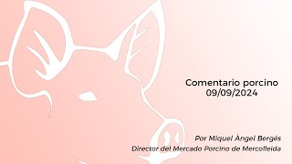 Comentario porcino  09092024 [upl. by Platt887]