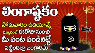 లింగాష్టకం సోమవారం నాడు విన్నారంటే మీ ఇల్లు సిరిసంపదలు అష్ట ఐశ్వర్యలకి నిలయం అవుతుంది  Lingastakam [upl. by Nwahc131]