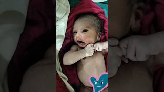 Cute Baby Just After Birth 🤗😘shorts cute baby justafterbirth motivation shortsviral trending [upl. by Eelyab]