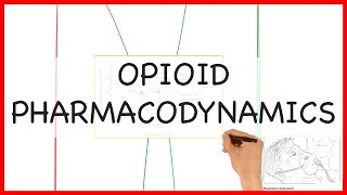 OPIOID PHARMACODYNAMICS PHARMACOLOGY SERIES [upl. by Liuka]