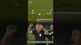 uruguay bielsa festejos fyp viralvideo SeleccionUruguayaOfc viralshorts [upl. by Conlon]