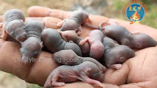 Wow Cooking amp Eating Baby Rat Recipe in Village  Can you Eat Frying Baby Rat [upl. by Aidnyc]