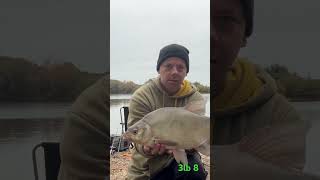 3lb 8 bream fishing feeder feederfishing [upl. by Liam]