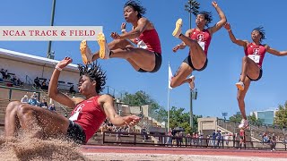 NCAA Track amp Field Showdown  Stanford Vs Cal  The Big Meet [upl. by Martinson]