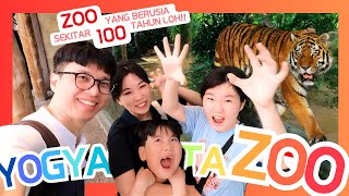 JOGJA😎 BERSAMA ANAK KE YOGYA YUK KE GEMBIRA LOKA ZOO [upl. by Valsimot365]