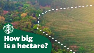 How big is a hectare [upl. by Alihet]