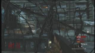 Call Of Duty World At War Pack Addict And Another Glitch [upl. by Sinnaiy84]