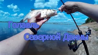 колебалка Yapada 35 гр с али экспресс [upl. by Claudia17]