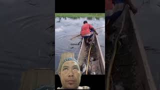 amazing archerfish fishing mancingmania mancing fish cod mancingikan funnymemes [upl. by Haroun]