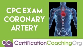 CPC Exam Coronary Arteries Questions and Answers [upl. by Orling]