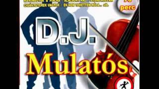 Big Boys Mulatos Mix [upl. by Eirol]