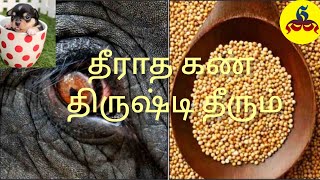 தீராத கண் திருஷ்டி தீரும்  செல்லப்பிராணி இறந்து போகிறதா How to control evil eye [upl. by Lemert]