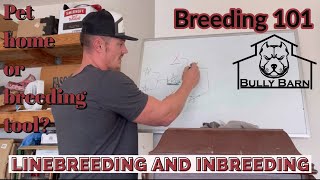 Throw away dog Too many flaws Linebreeding and inbreeding Breeding 101 Tips with Trent [upl. by Enelyaj]