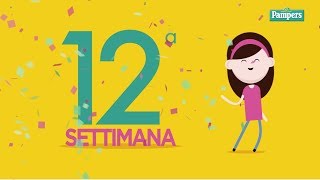 12° settimana di gravidanza [upl. by Culhert]