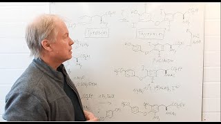 Warum zwei Methoden für die Iodierungen zum Thyroxin  Chemie der Arzneistoffe 8 [upl. by Viola]