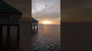 Stilts calatagan beach resort everyone shortvideo [upl. by Kellda568]