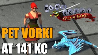 Pet Vorki at 141 KC  Old School RuneScape [upl. by Adnat]