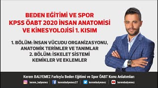 İnsan Anatomisi ve Kinesyolojisi 1 Kısım  BESYO ÖABT [upl. by Vinn]